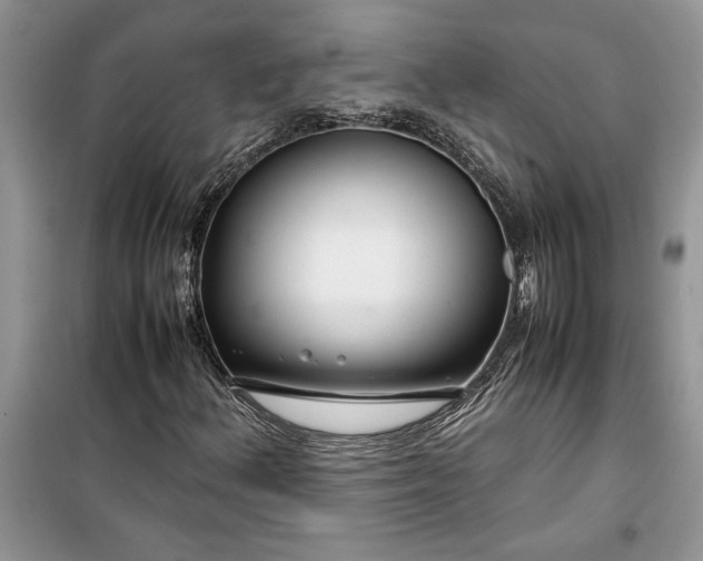 X0000099511156200805291143