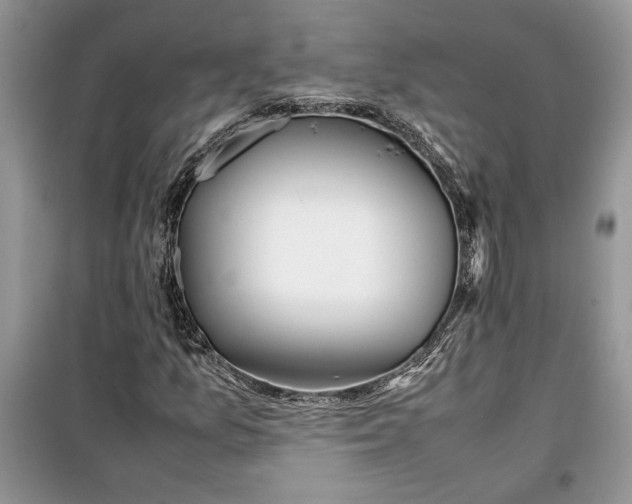 X0000099511157200805291143