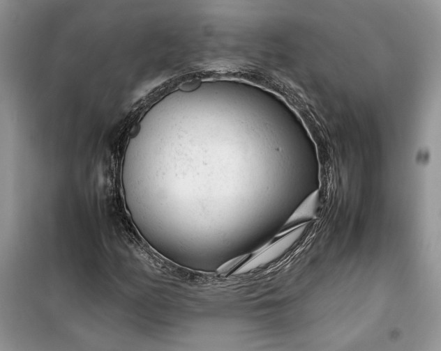 X0000099511158200805291143