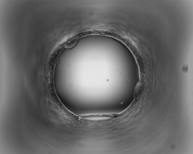 X0000099511159200805291143