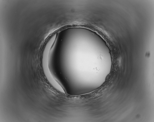 X0000099511160200805291143