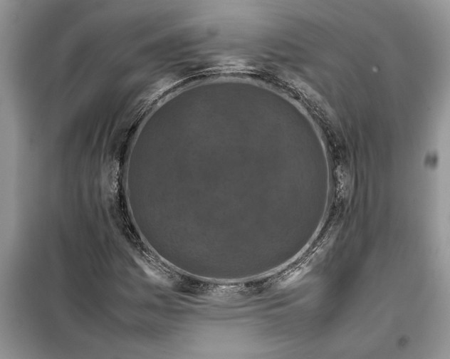 X0000099511161200805291143