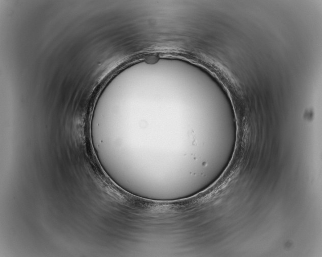 X0000099511162200805291143