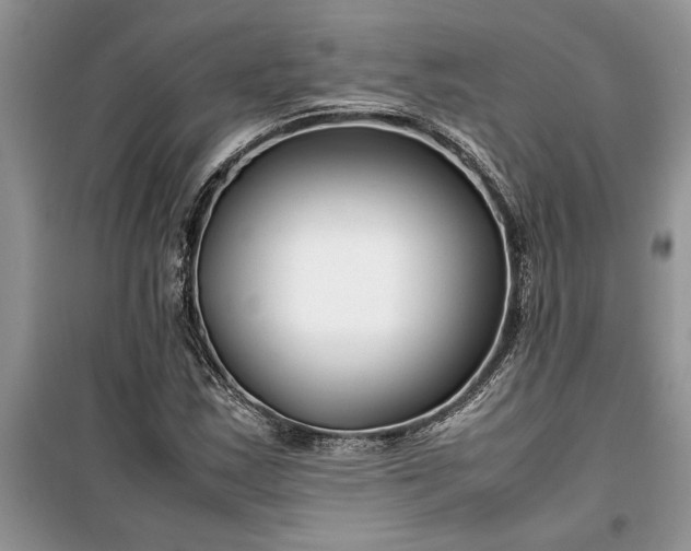 X0000099511163200805291143