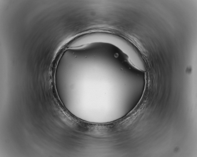 X0000099511164200805291143