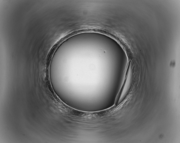 X0000099511165200805291143