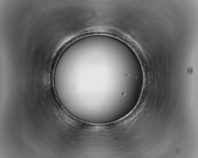 X0000099511166200805291143