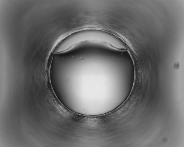 X0000099511168200805291143