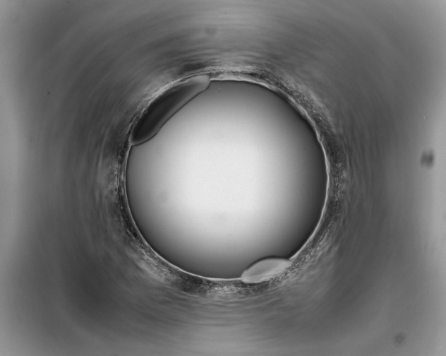 X0000099511169200805291143