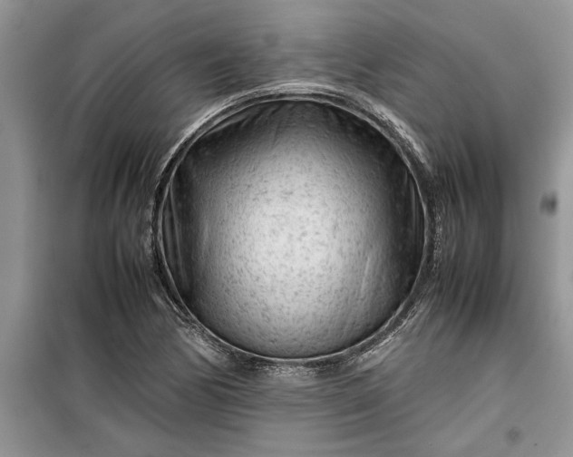 X0000099511170200805291143