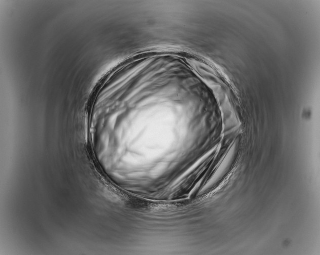 X0000099511171200805291143