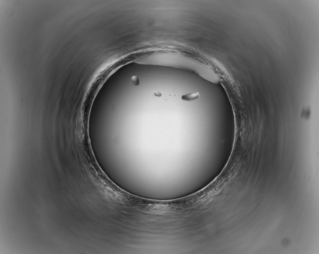 X0000099511172200805291143