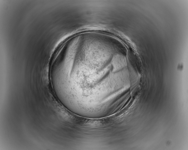 X0000099511174200805291143