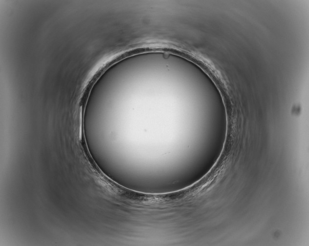 X0000099511175200805291143