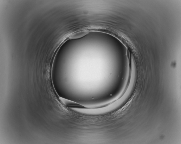 X0000099511177200805291143