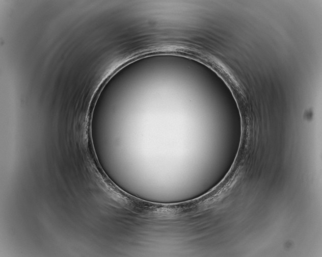 X0000099511178200805291143