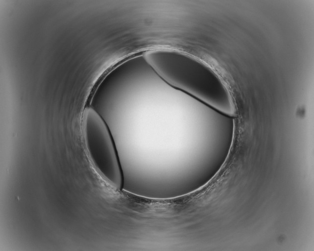 X0000099511181200805291143