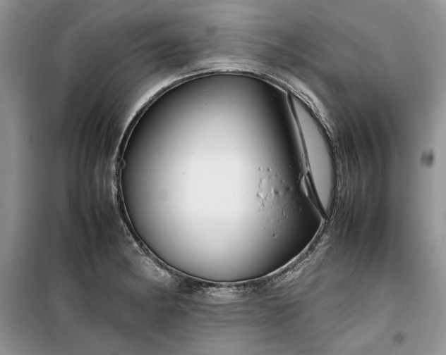 X0000099511182200805291143