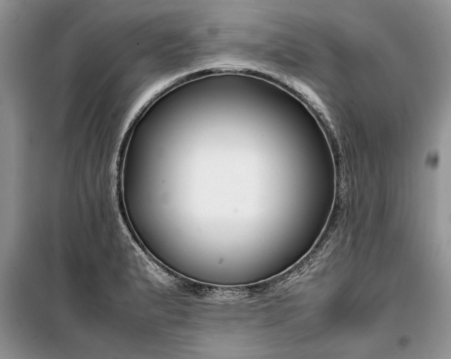 X0000099511183200805291143