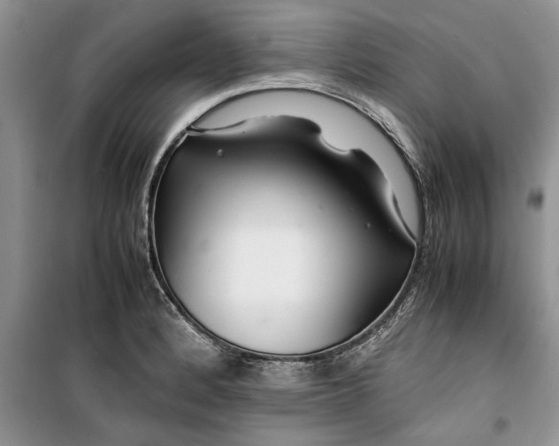 X0000099511184200805291142