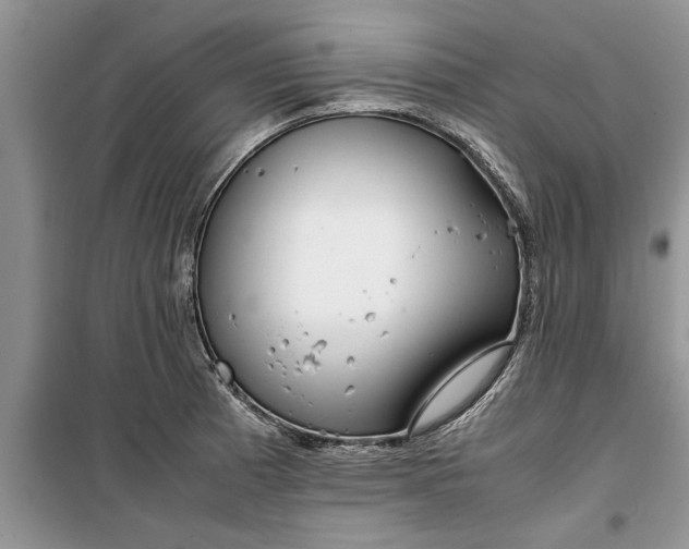 X0000099511185200805291142