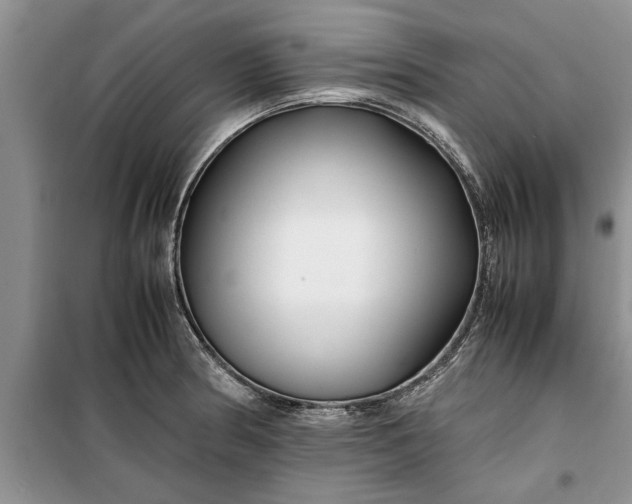 X0000099511186200805291142