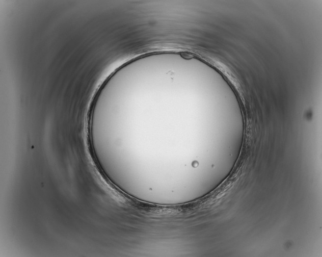 X0000099511187200805291142