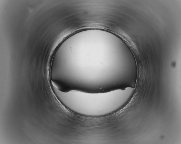 X0000099511188200805291142