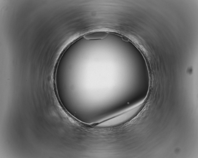 X0000099511189200805291142