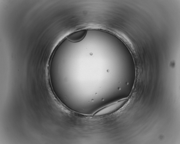 X0000099511190200805291142