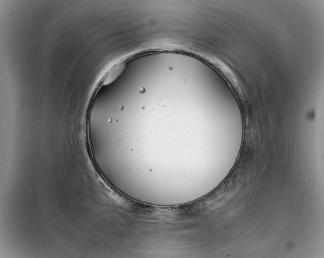 X0000099511191200805291142