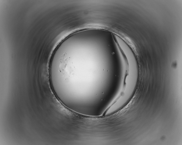 X0000099511192200805291142