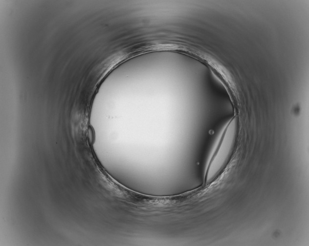 X0000099511193200805291142