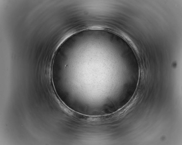 X0000099511194200805291142