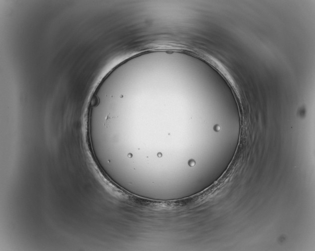 X0000099511195200805291142