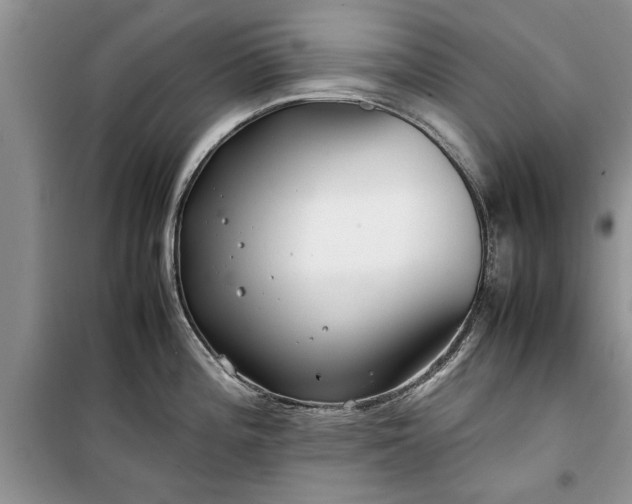 X0000099511196200805291142