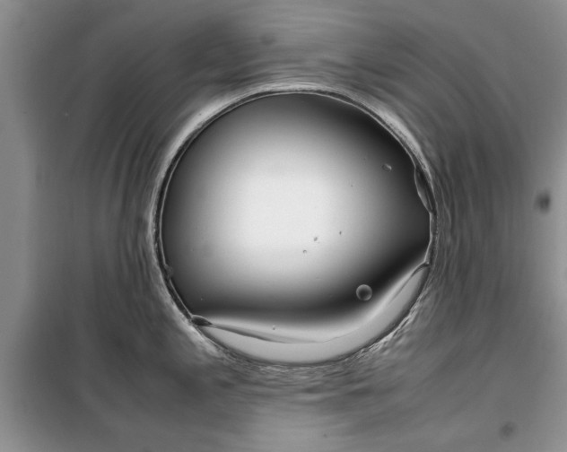 X0000099511197200805291142