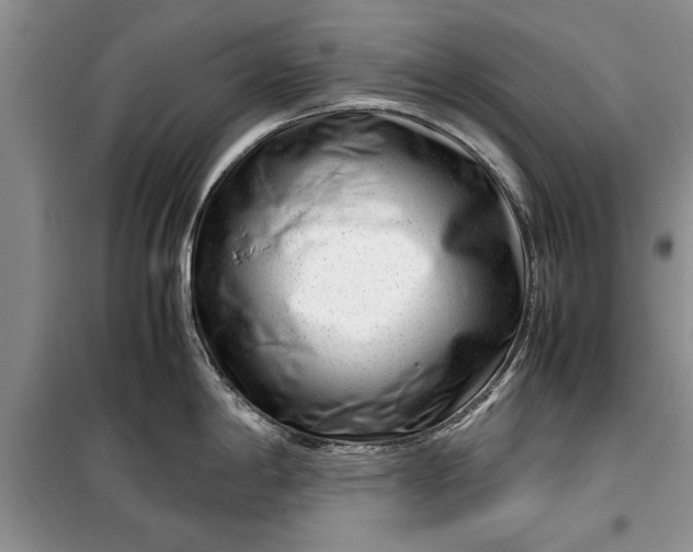 X0000099511198200805291142