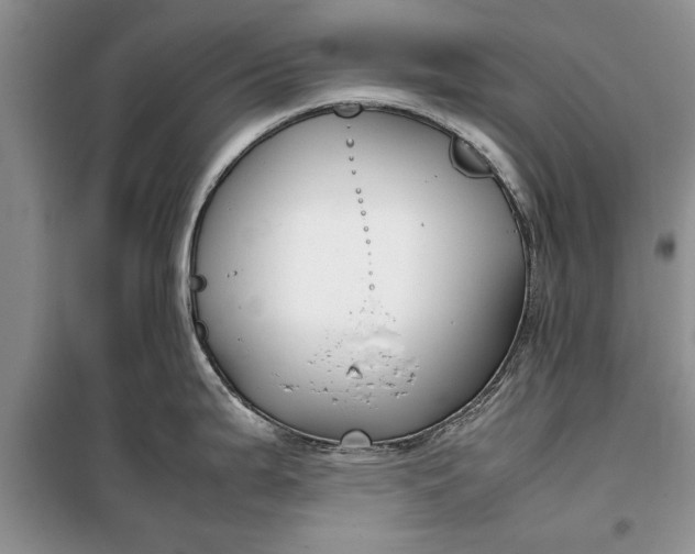 X0000099511199200805291142