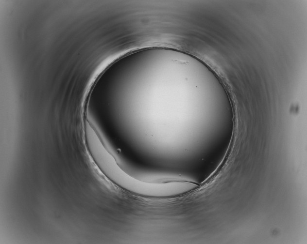 X0000099511200200805291142