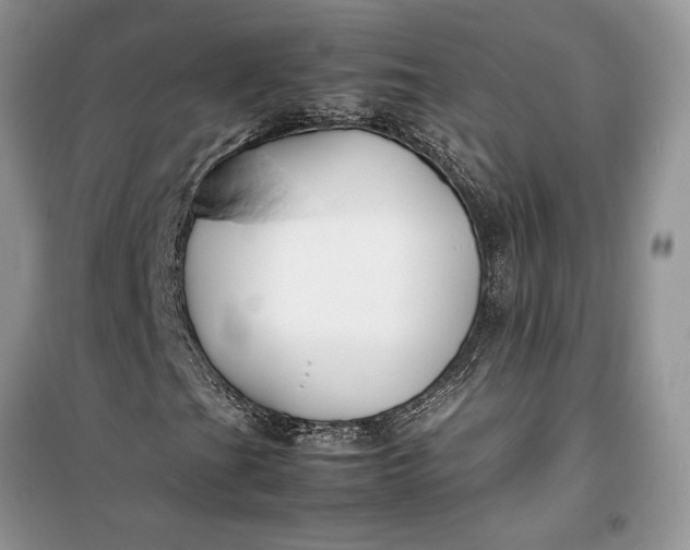 X0000099511201200805291141