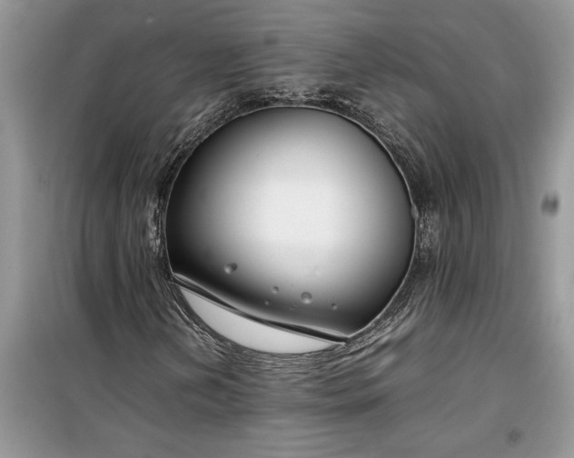 X0000099511202200805291142