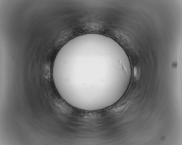 X0000099511203200805291142