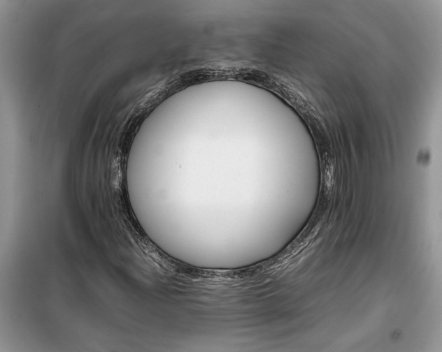 X0000099511204200805291142