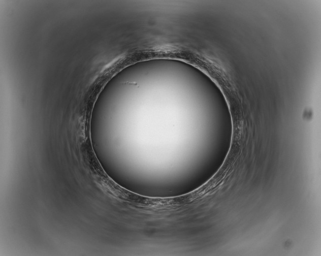 X0000099511205200805291142