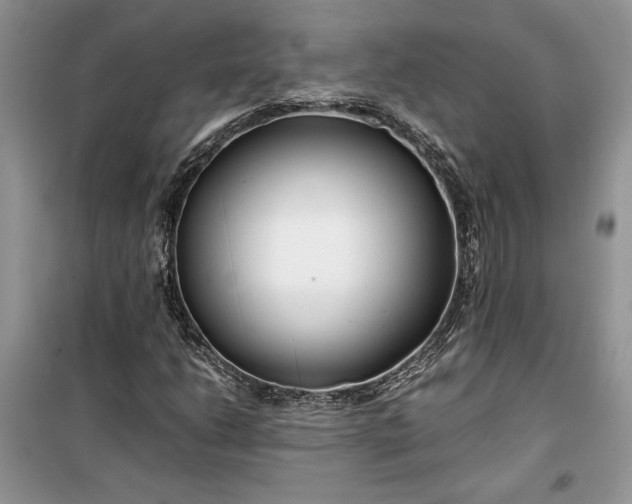 X0000099511206200805291142