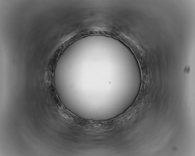 X0000099511207200805291142