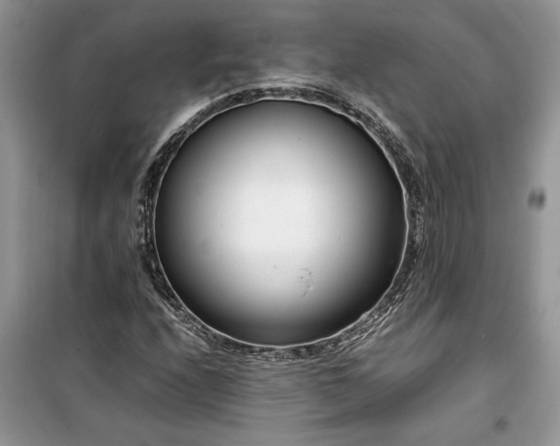 X0000099511208200805291142