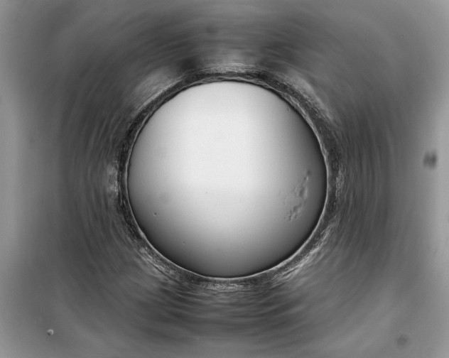 X0000099511209200805291142