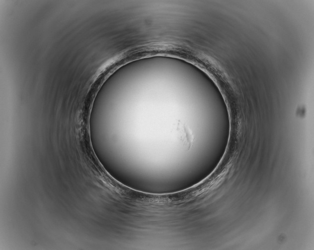 X0000099511210200805291142